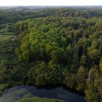 Price County Wisconsin 274 Acres For Sale images 5