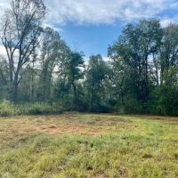 221 Acres of Premium Hunting Pike Co. images 3