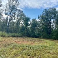 221 Acres of Premium Hunting Pike Co. images 4