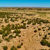 Kickin Kunzite Road Acreage images 2