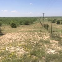West Texas Land for Sale in Irion County images 3