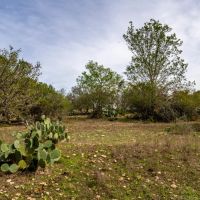 121-B Bartel Comfort Texas images 5