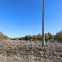 LA - Caldwell 27.35 acres - images 5