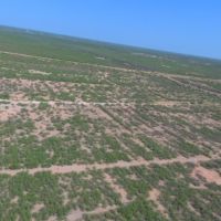 TBD Other Monahans TX images 5