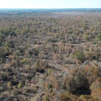 Hunting Recreational Land for Sale on the Pearl River images 4
