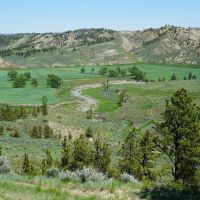 43 ZY Brown Ranch Big Sandy MT images 5