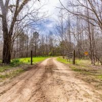 196 - Acres Clay Co Alabama images 2