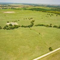 Beautiful Kansas Native Grass images 5