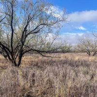 Buffalo Wallow Ranch images 3