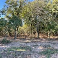 ON HOLD 138.48 - Acres Eastland County images 4