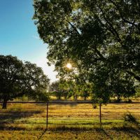 Red Top Ranch images 4