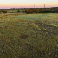 Red Top Ranch images 5
