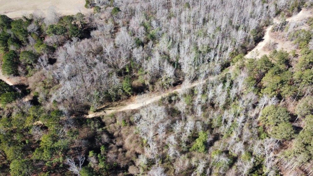 10 - Acres in Lee County AL featured image