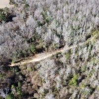 10 - Acres in Lee County AL images 1