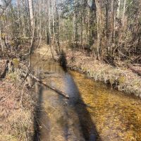 10 - Acres in Lee County AL images 2