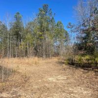 10 - Acres in Lee County AL images 3