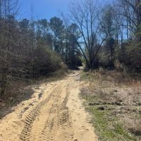 10 - Acres in Lee County AL images 4