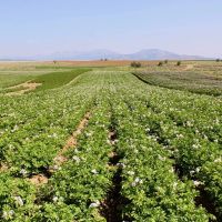 Little Camas Ranch images 5