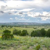 100 Ranch images 2