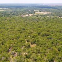 10.01 Acres in Milam County