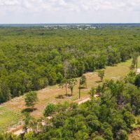 10.01 Acres in Milam County images 5