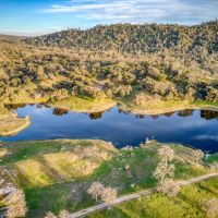 Love Ranch images 2