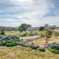 Love Ranch images 4
