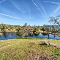 Love Ranch images 5