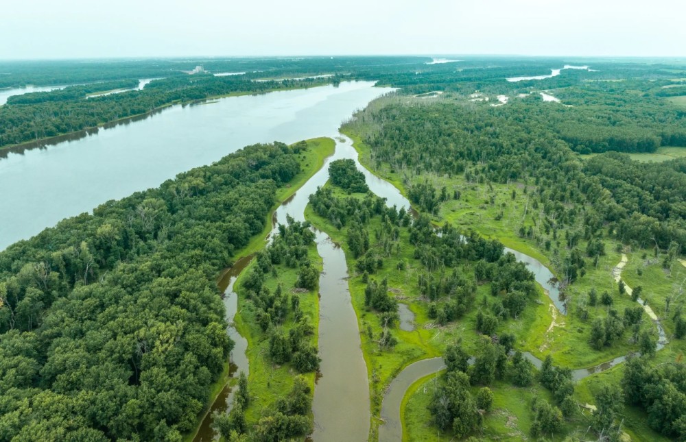 241.51 - Acres on Carman Rd. Lomax IL Henderson Co. featured image