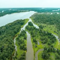 241.51 - Acres on Carman Rd. Lomax IL Henderson Co.