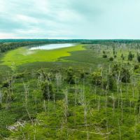 241.51 - Acres on Carman Rd. Lomax IL Henderson Co. images 2
