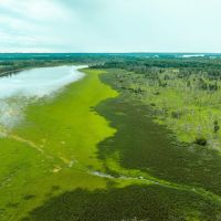 241.51 - Acres on Carman Rd. Lomax IL Henderson Co. images 3