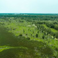 241.51 - Acres on Carman Rd. Lomax IL Henderson Co. images 4