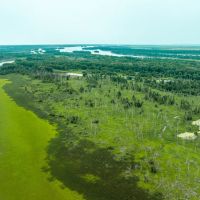 241.51 - Acres on Carman Rd. Lomax IL Henderson Co. images 5