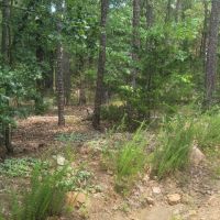 JOSLIN VALLEY Tract B images 3