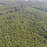 153 - acres Crenshaw Co images 3