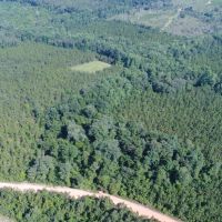 153 - acres Crenshaw Co images 5