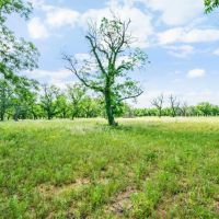 179 CR 348 Gorman Texas 76454