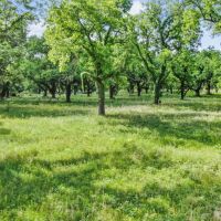 179 CR 348 Gorman Texas 76454 images 2