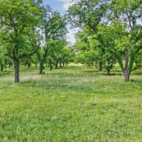 179 CR 348 Gorman Texas 76454 images 3