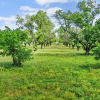 179 CR 348 Gorman Texas 76454 images 4