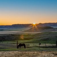 Rafter J Ranch