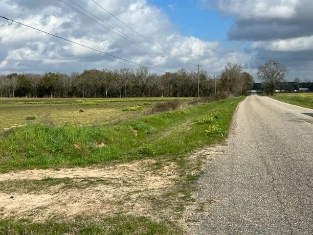 20 acres of Cleared Farmland in Gordon AL featured image