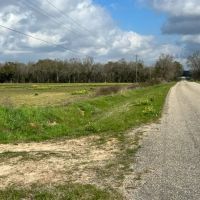 20 acres of Cleared Farmland in Gordon AL
