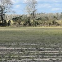 20 acres of Cleared Farmland in Gordon AL images 3
