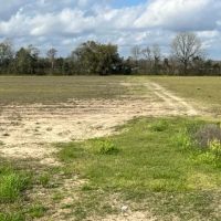 20 acres of Cleared Farmland in Gordon AL images 5