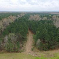 88 - Acres Lawrence Co images 3