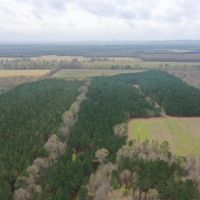 88 - Acres Lawrence Co images 4