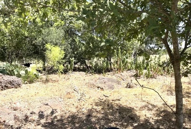 Lot 5 Turkeyfoot Ln featured image