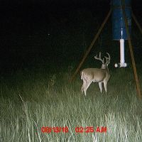 4200acre West Texas Hunting Lease